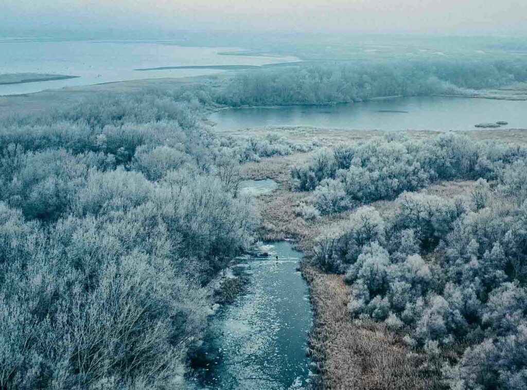 Február 1-je a Tisza élővilágának emléknapja: fedezzük fel a folyót!