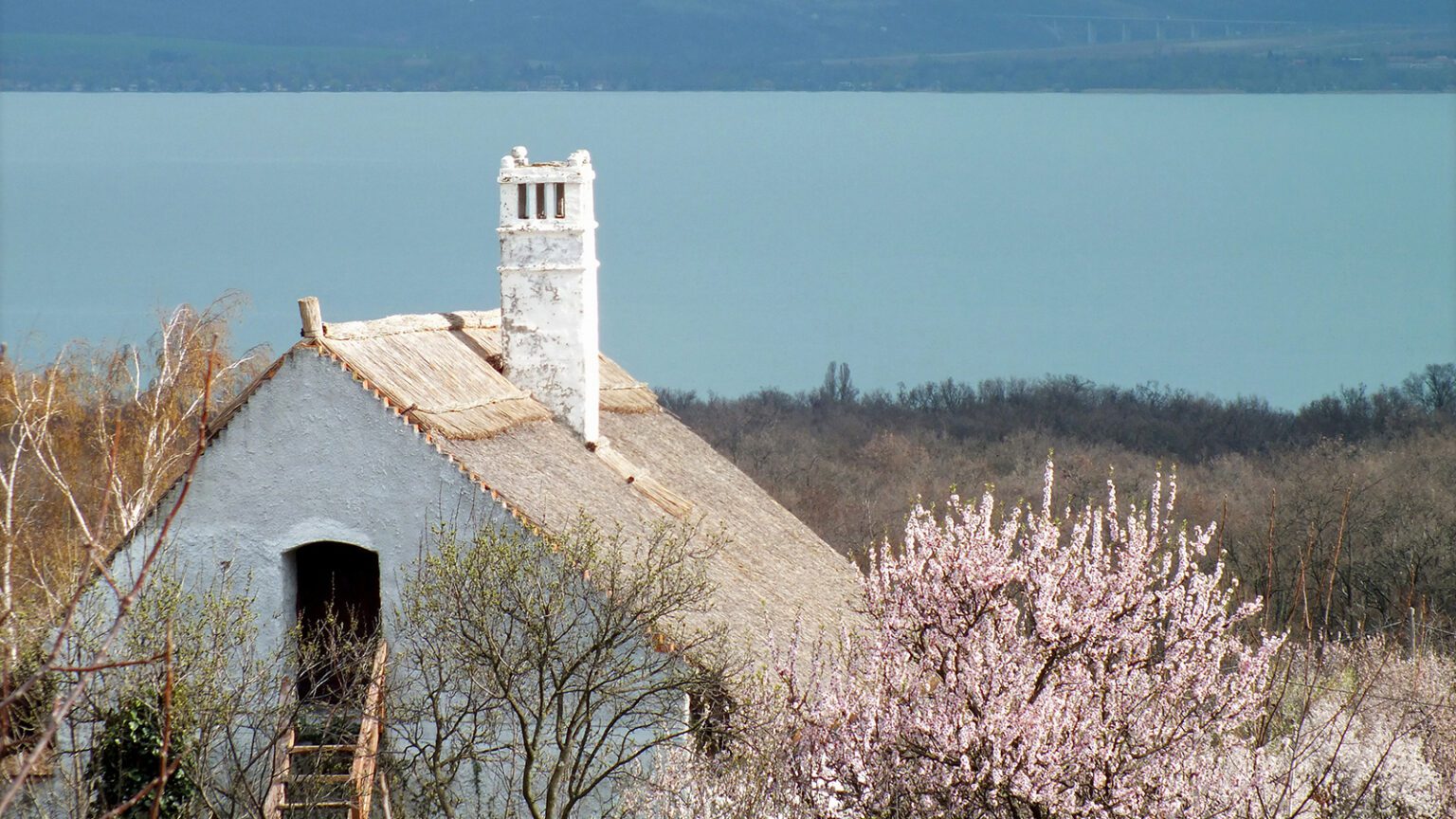 Egy pohár borral a hegyen – nyitott pincékkel vár Balatonakali