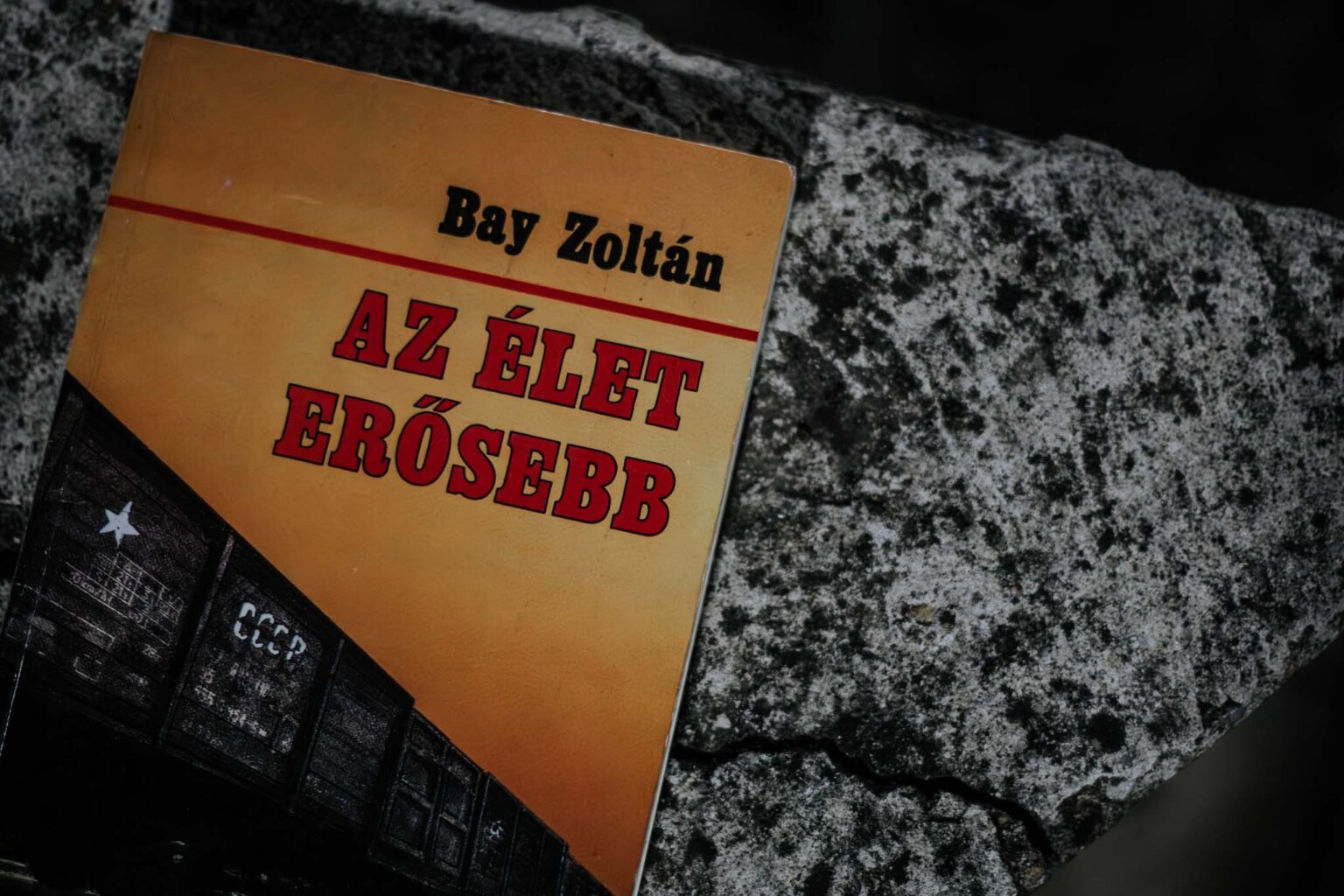 Bay Zoltán: Az élet erősebb