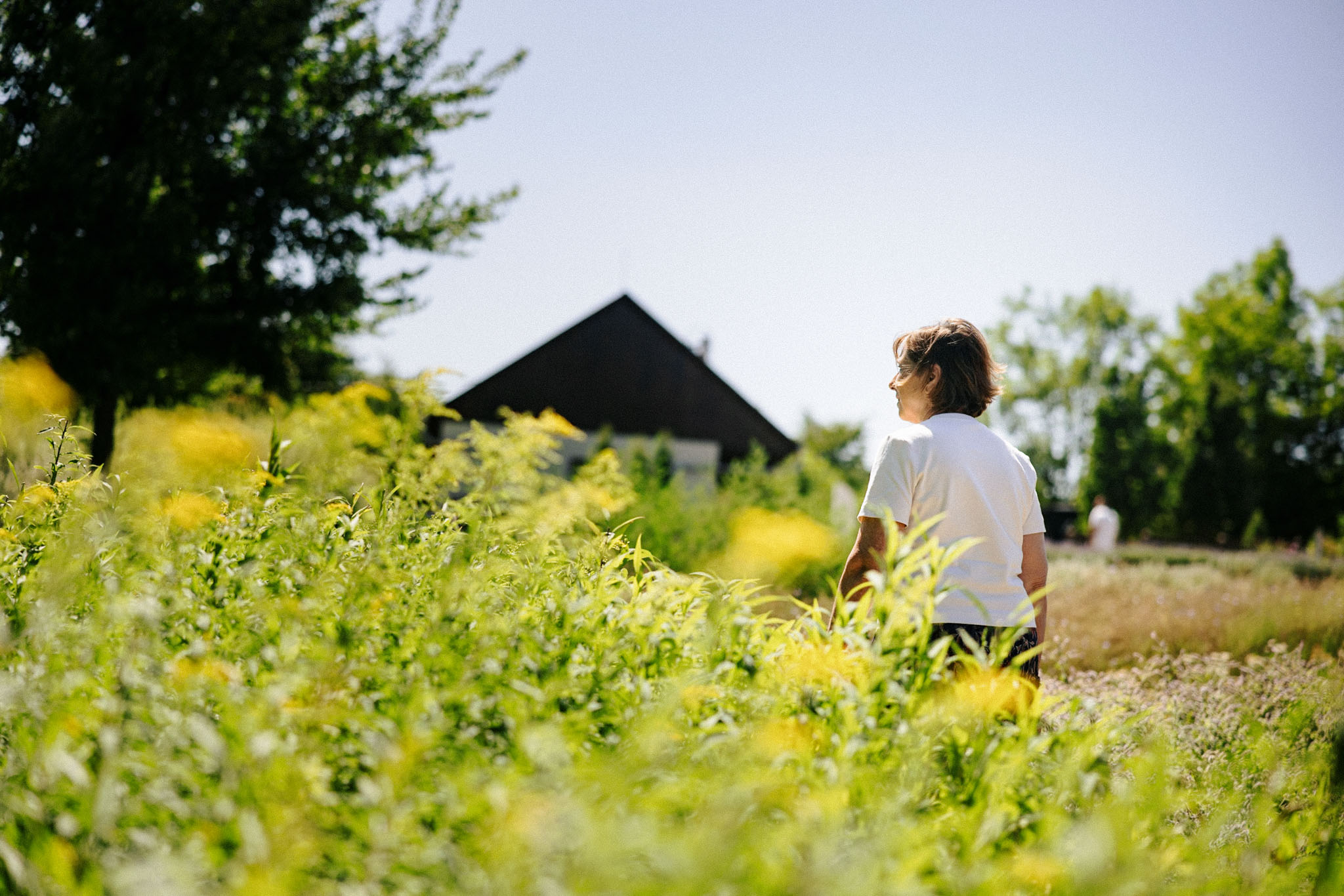 Lopes-Szabó Zsuzsa, Bükkszentkereszt, gyógynövény kert, Fotó: Földházi Árpád